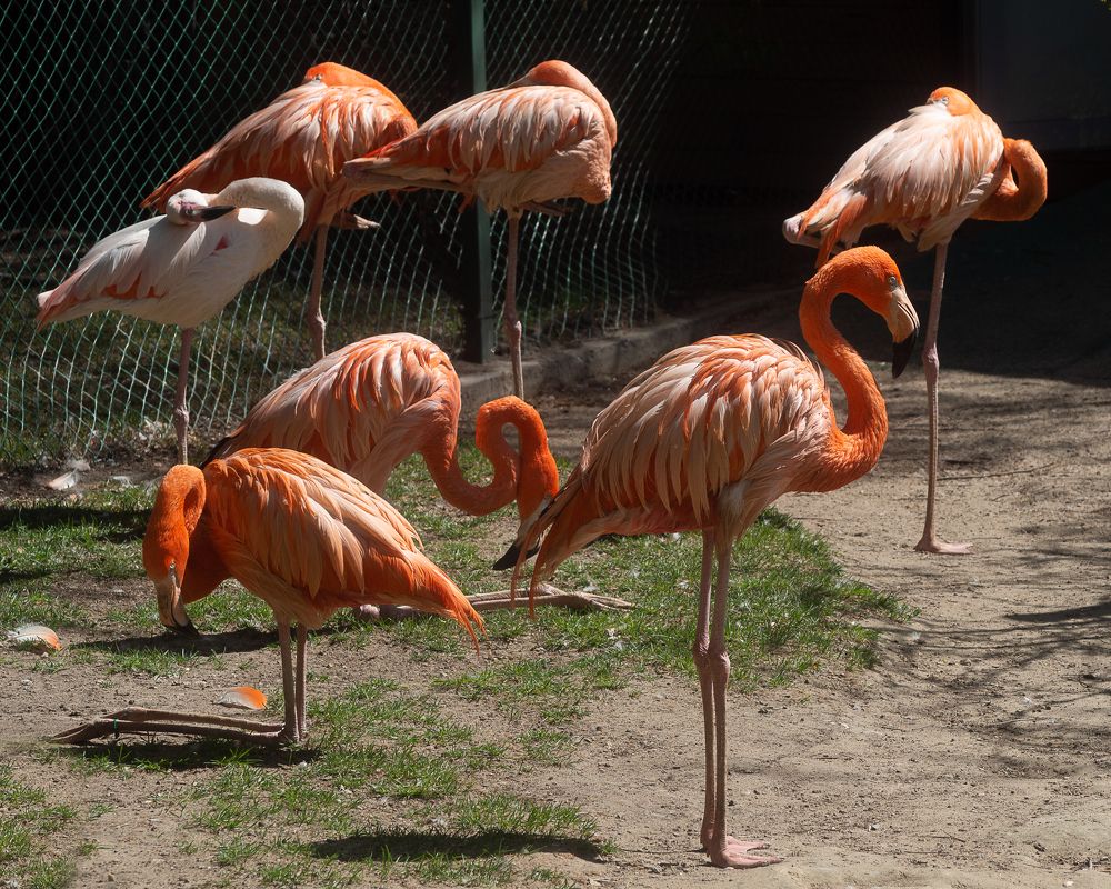 Фотография автора Алексей Школдин
