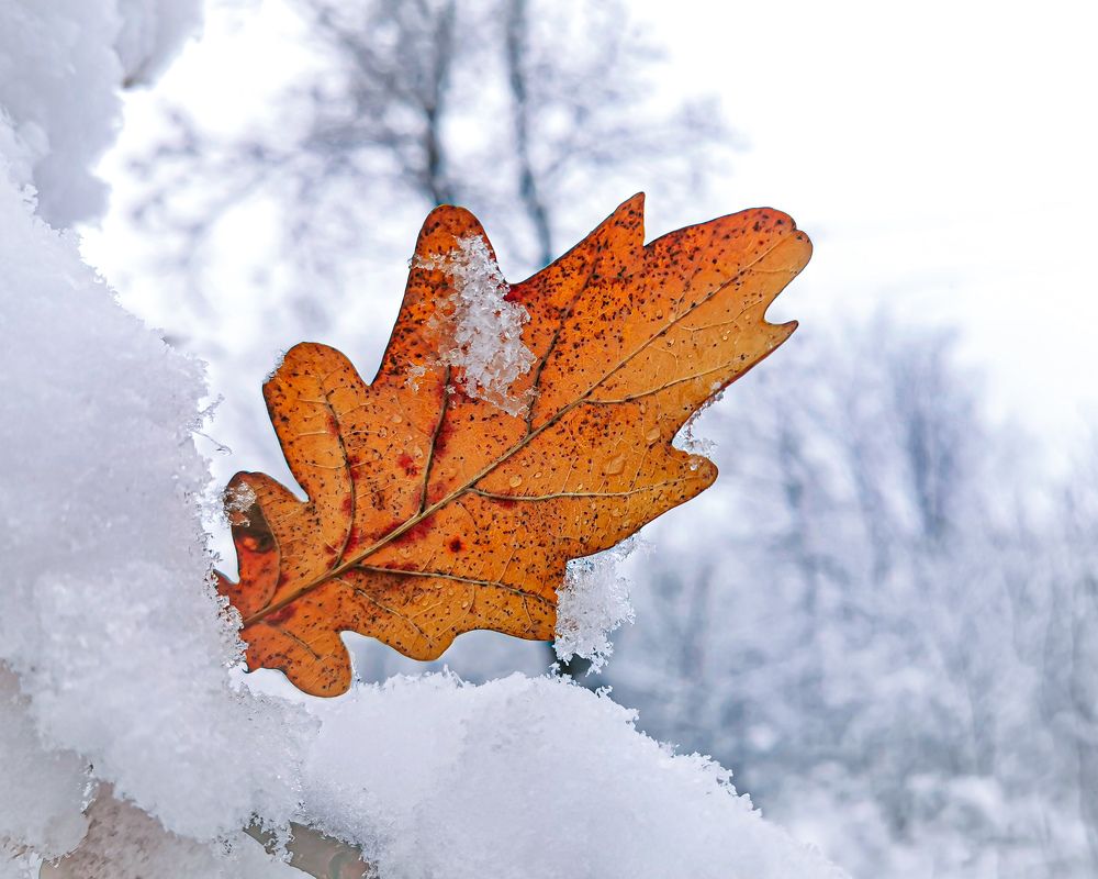 Фотография автора Дмитрий