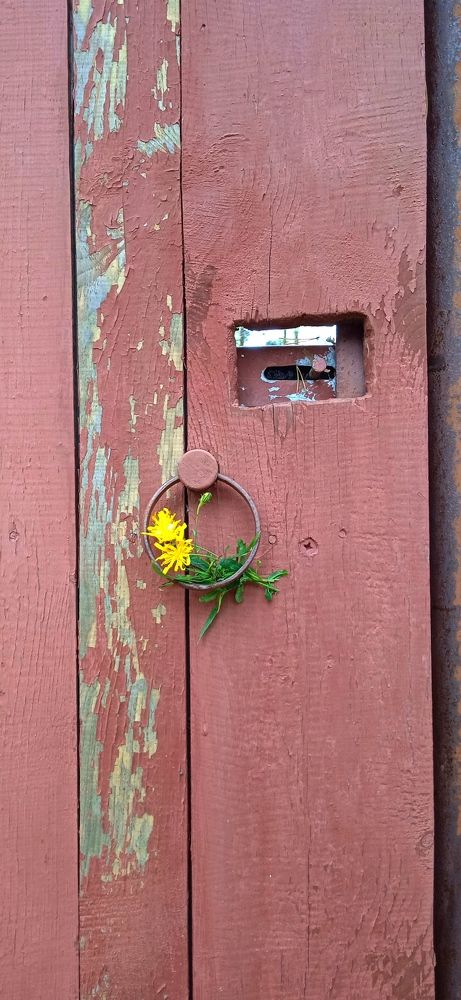 Photo #9511123