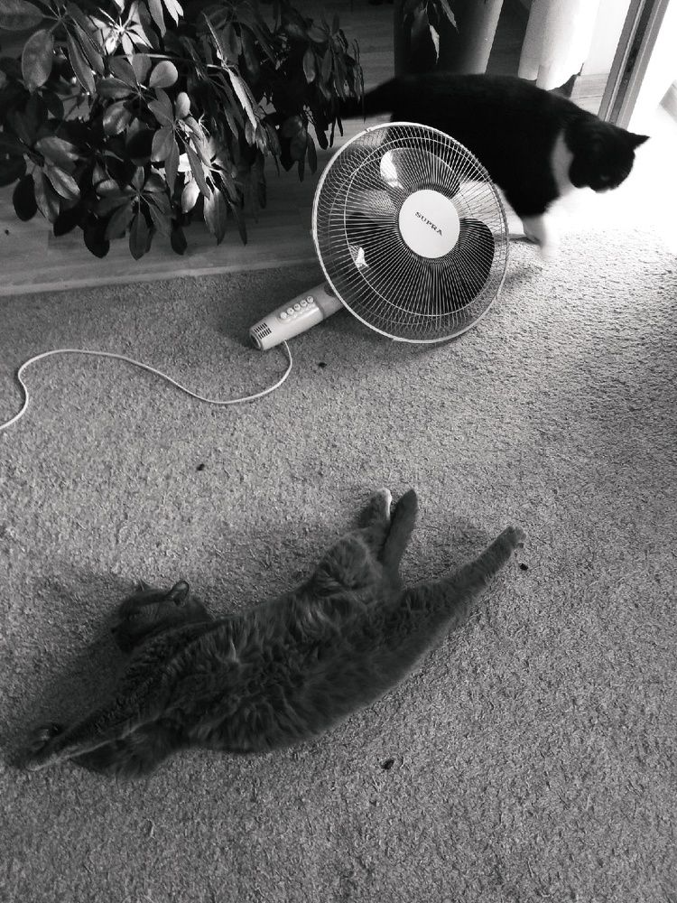 Photograph by Ольга Кочнева