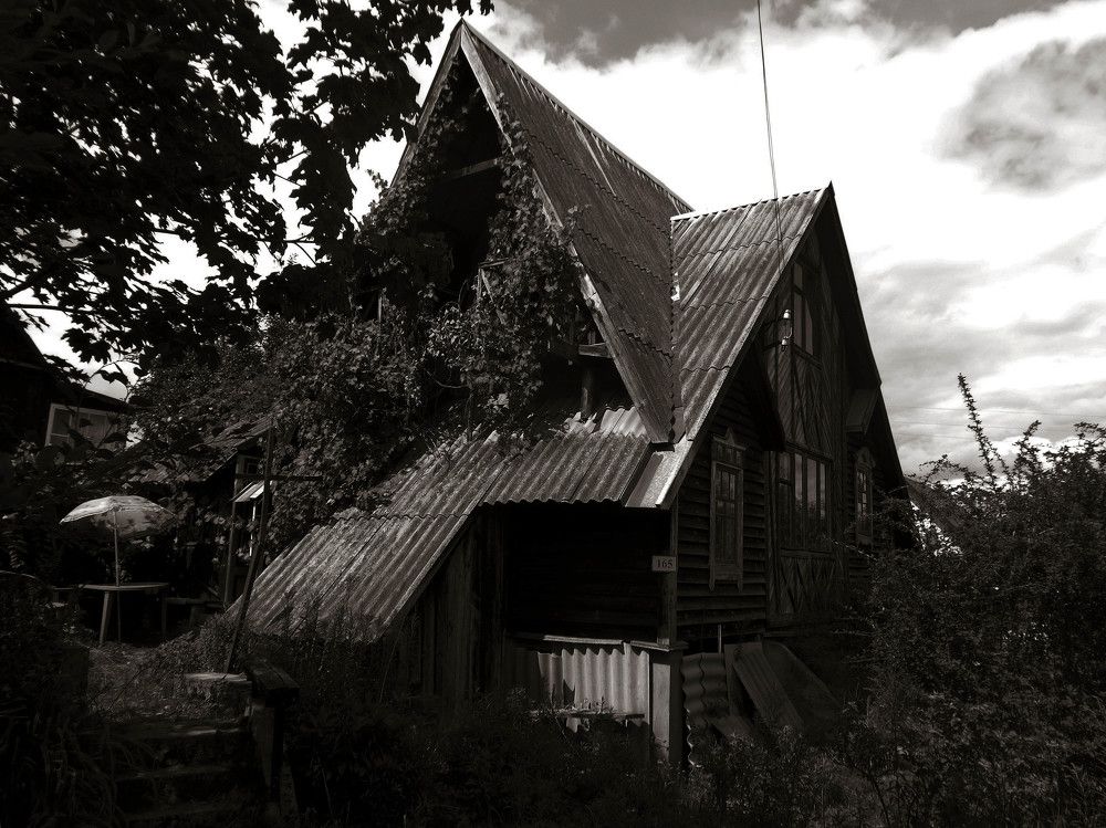 Photo #9511216