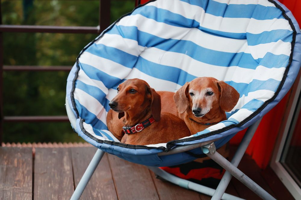 Photograph by Олег Раков