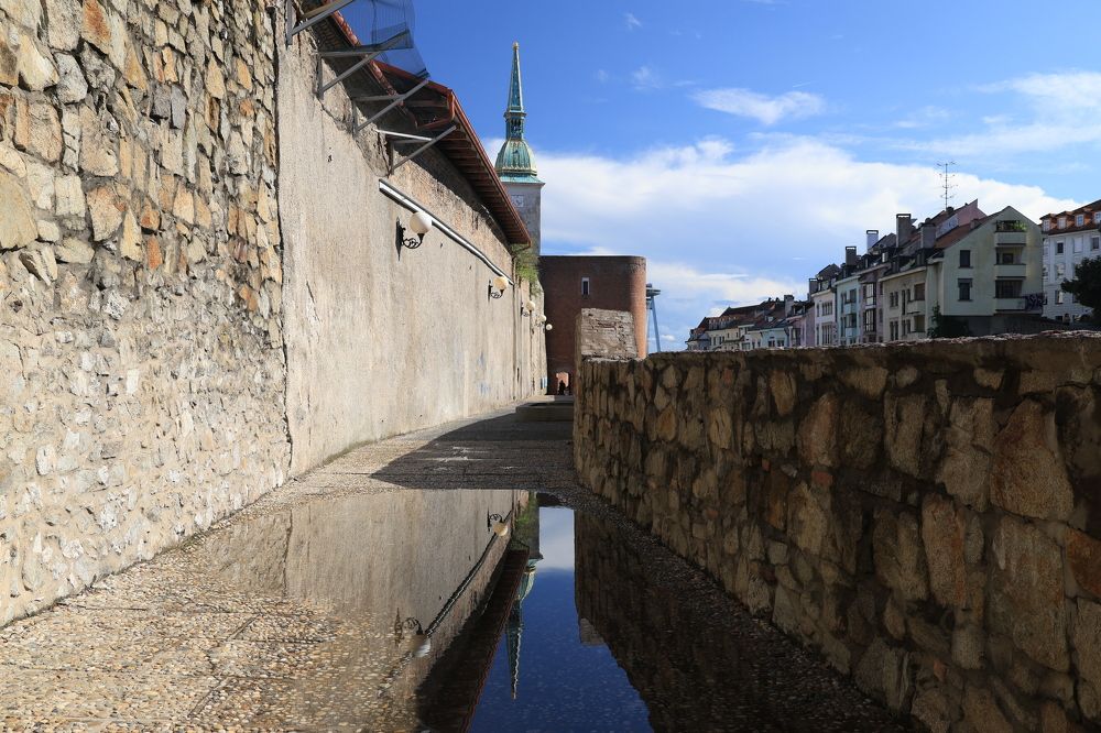 Photograph by Popa Alin