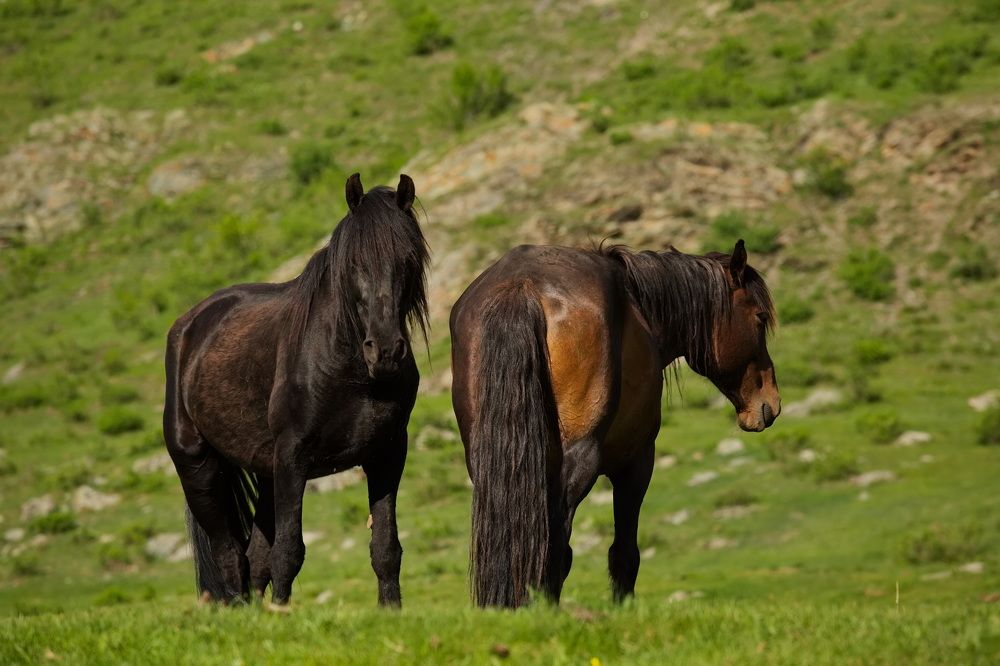 Photograph by Олег Раков