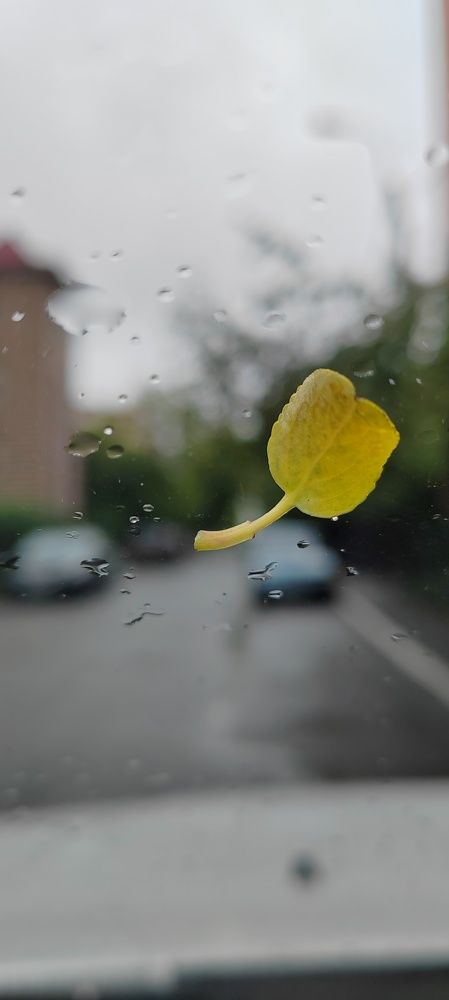 Photograph by Татьяна Арендаренко