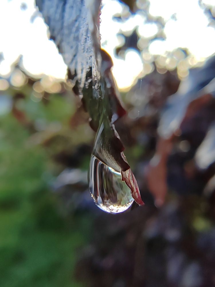 Photograph by Татьяна Арендаренко