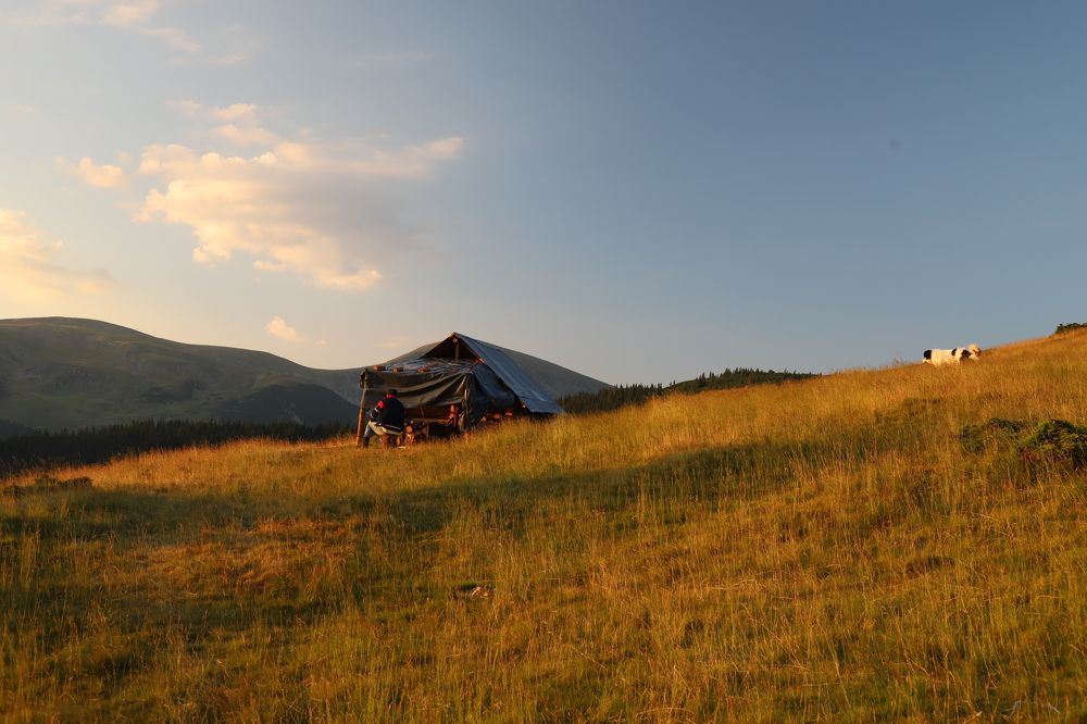 Photograph by Popa Alin