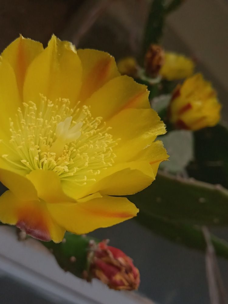 Photograph by Rahim Rahimi