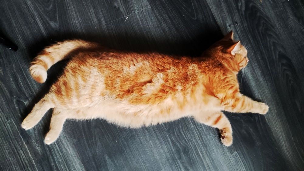 Photograph by Наталья Калюнова