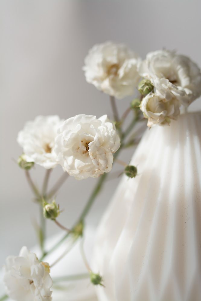 Photograph by Кристина Луканова