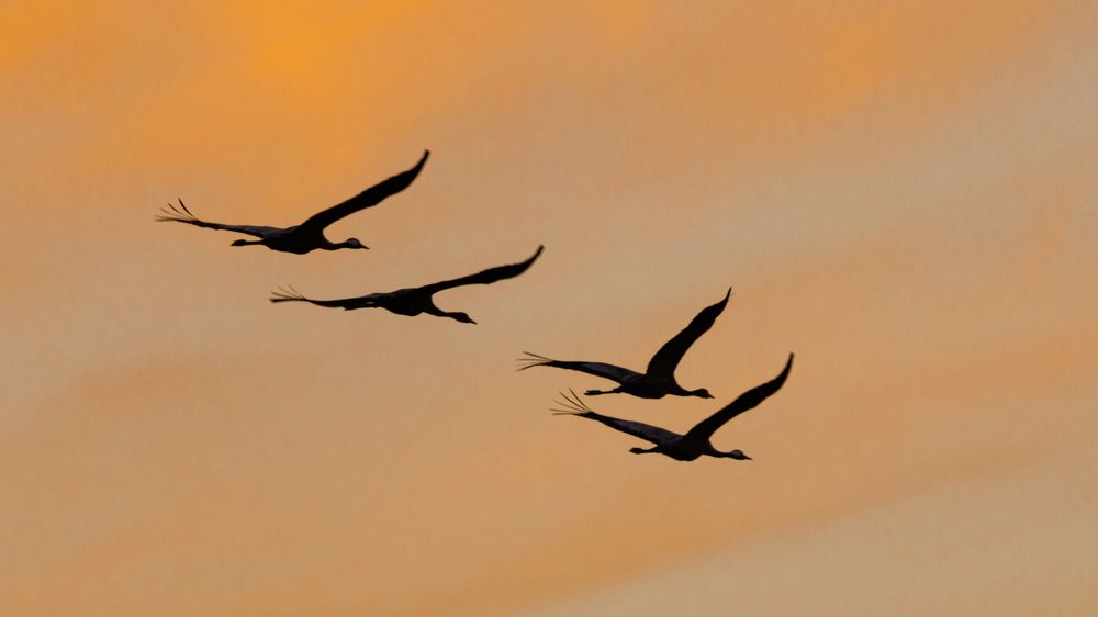 Photograph by Сергей