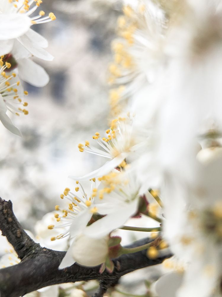 Photograph by Кристина Луканова