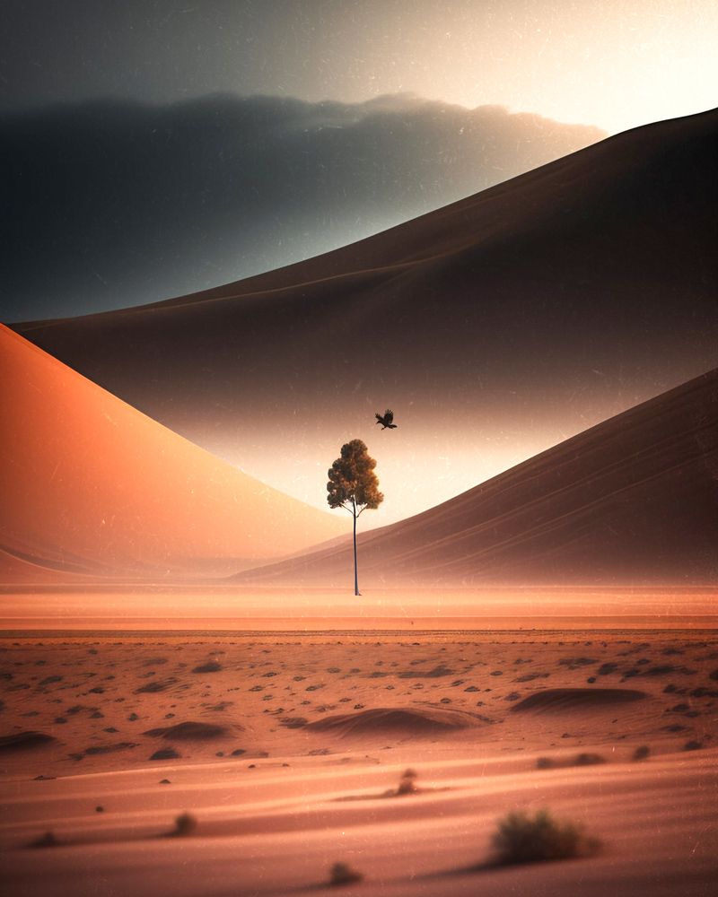 Photograph by Iman Hafez khan