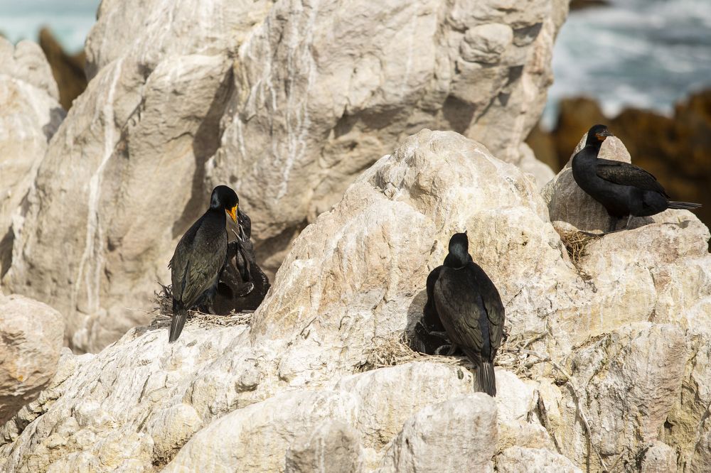 Photograph by Valeria D