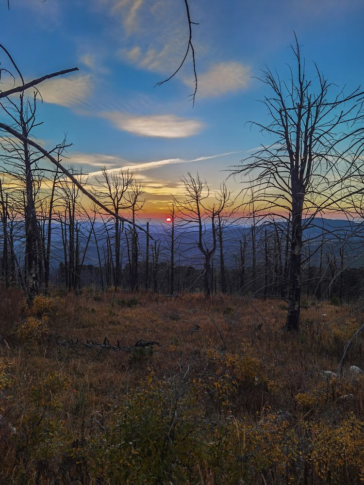 Photograph by Инна