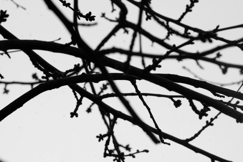 Photograph by Кристина Присакарь