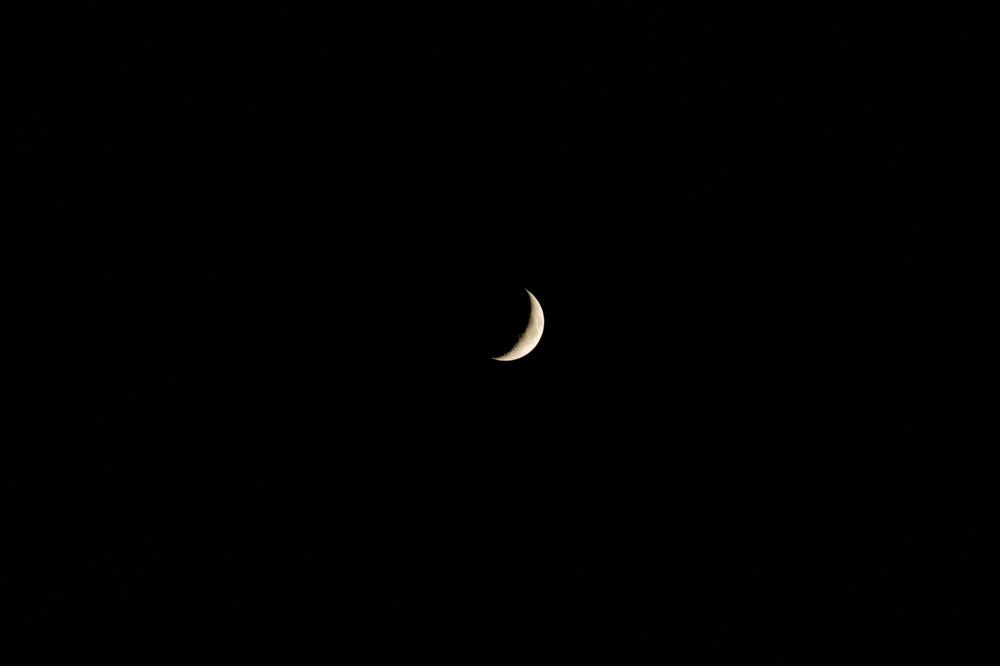 Photograph by Кристина Присакарь