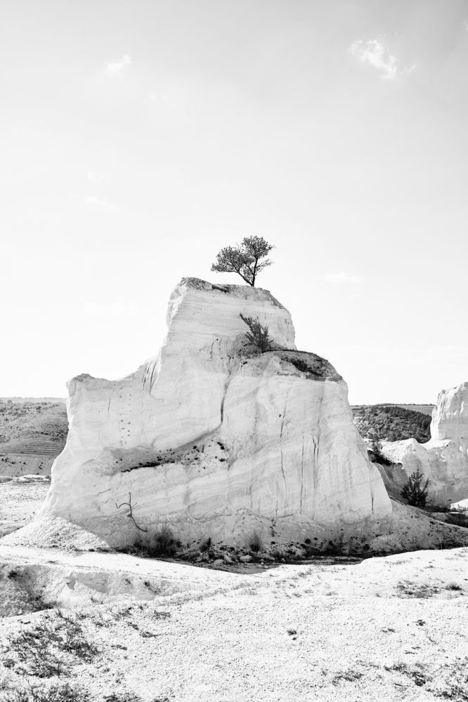 Photograph by Кристина Присакарь