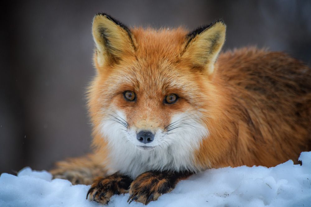 Photograph by Алексей Ознобихин