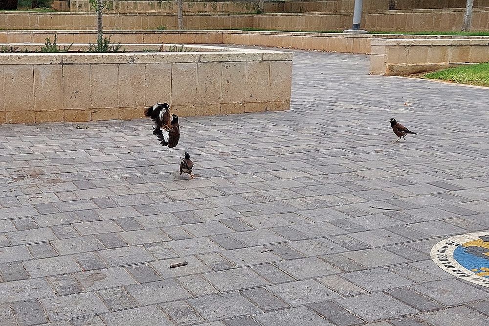 Фотография автора Dmitry