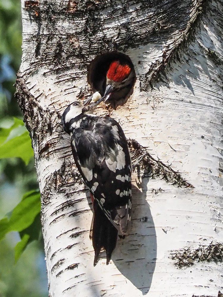 Photograph by Духанин Сергей