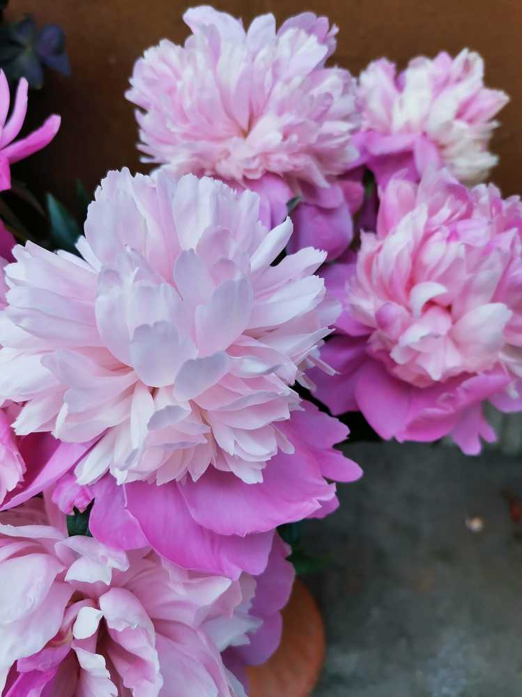 Photograph by Greta Jordanova