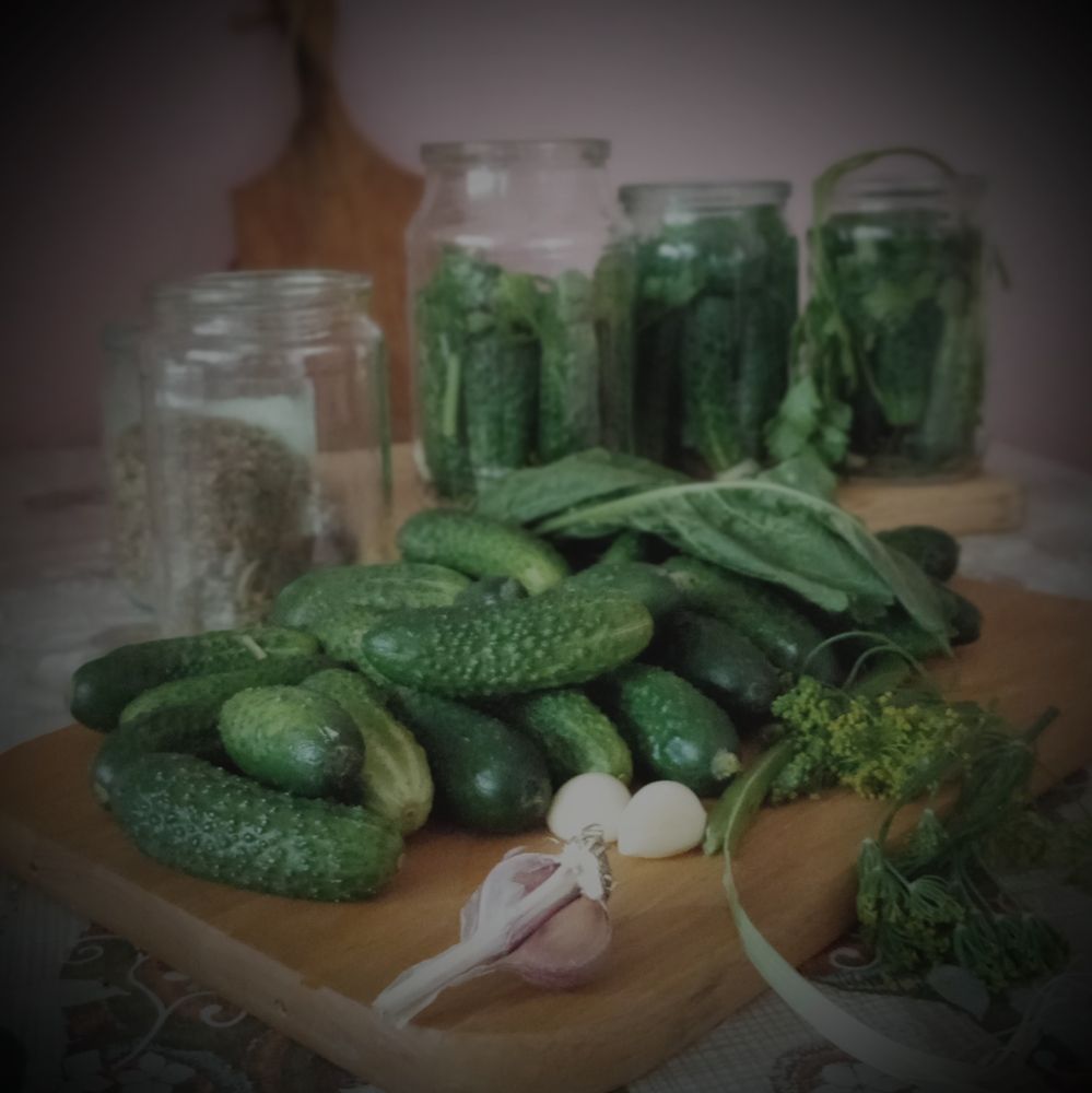 Photograph by Елена Попова