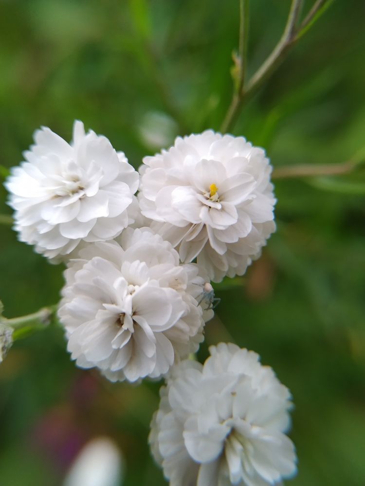 Photograph by Оксана Артимович