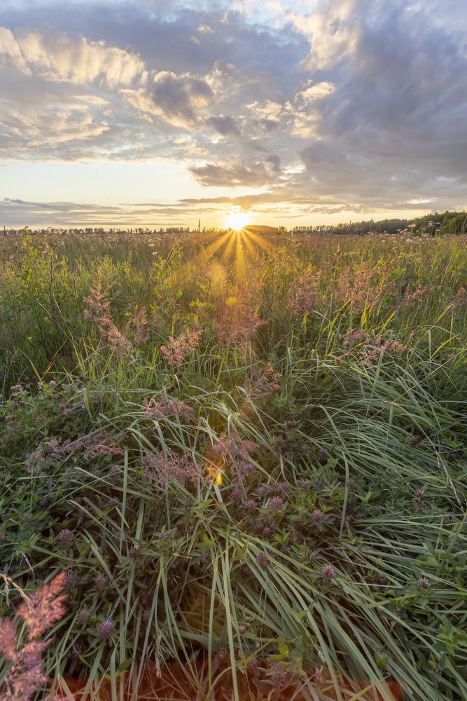 Photograph by Герман Корнеев