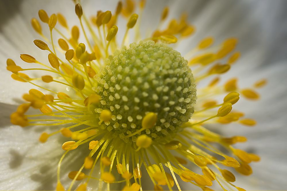 Photograph by Дроздова Наталья