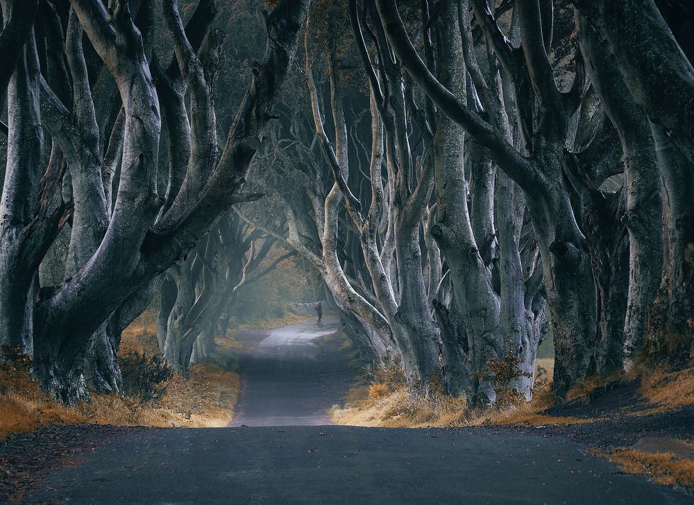 Photograph by Boris Bekelman