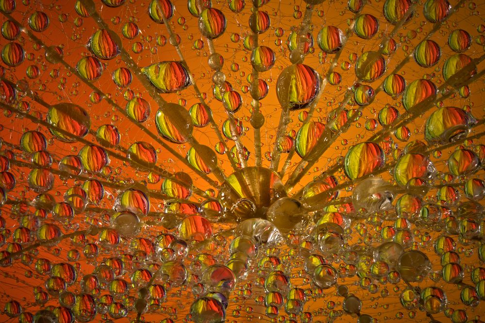 Photograph by Boris Bekelman