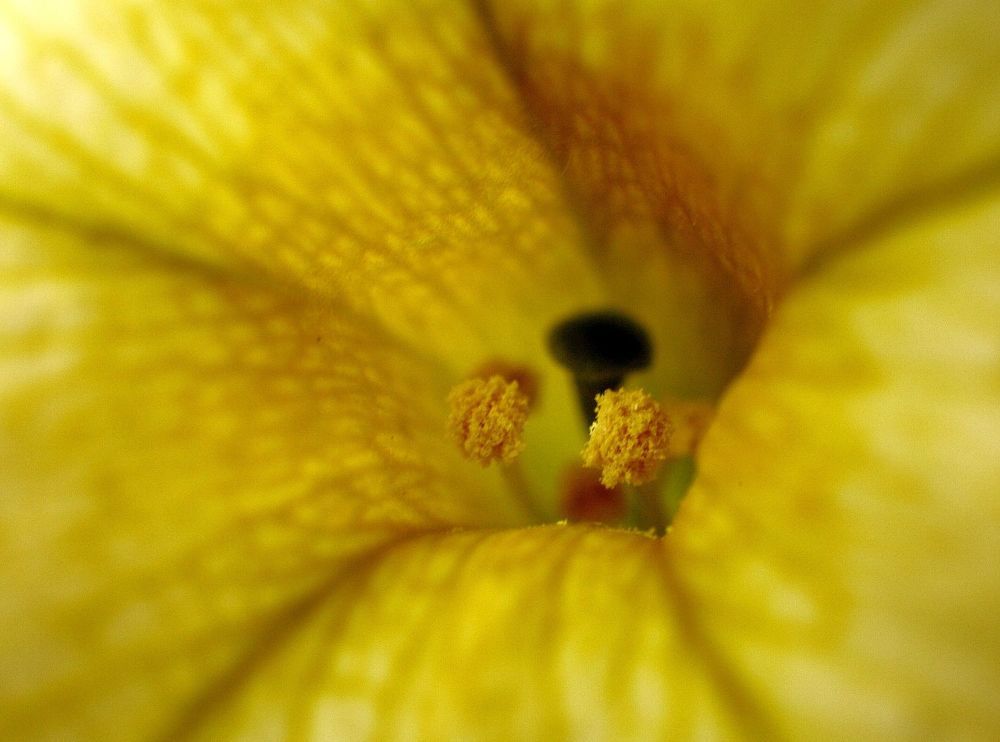 Photograph by Юрий Варюхин