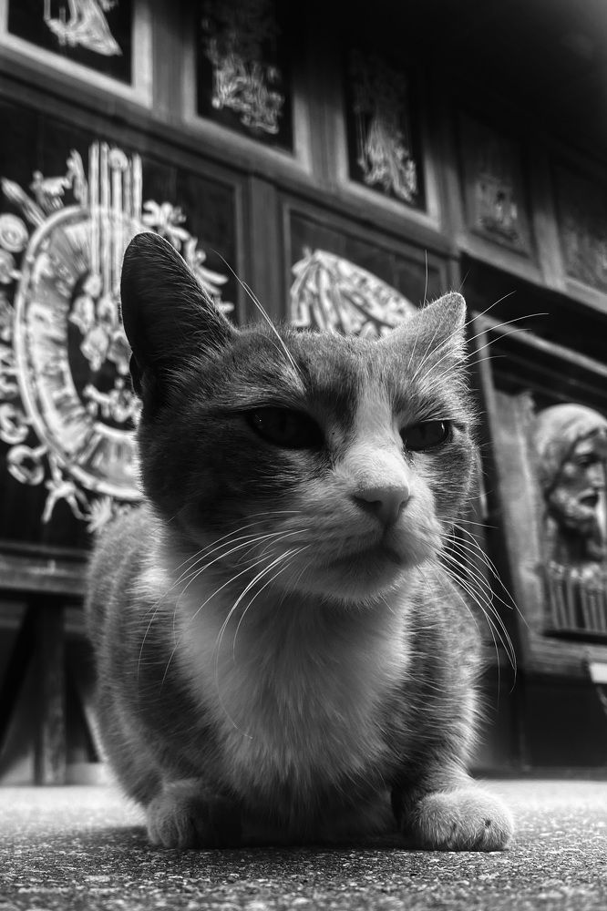 Photograph by Игнат Щеглов