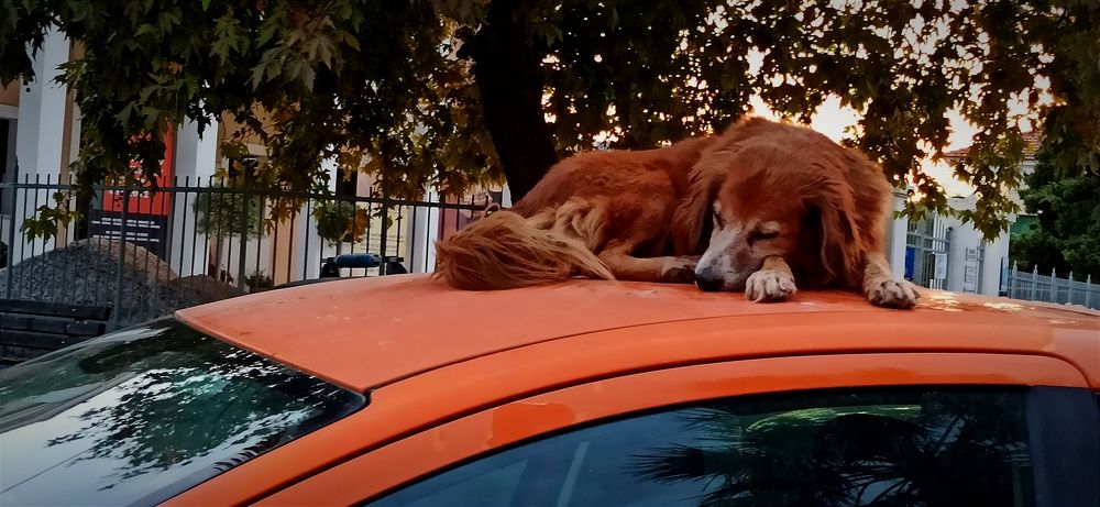 Photograph by Myrsini Charalampidou