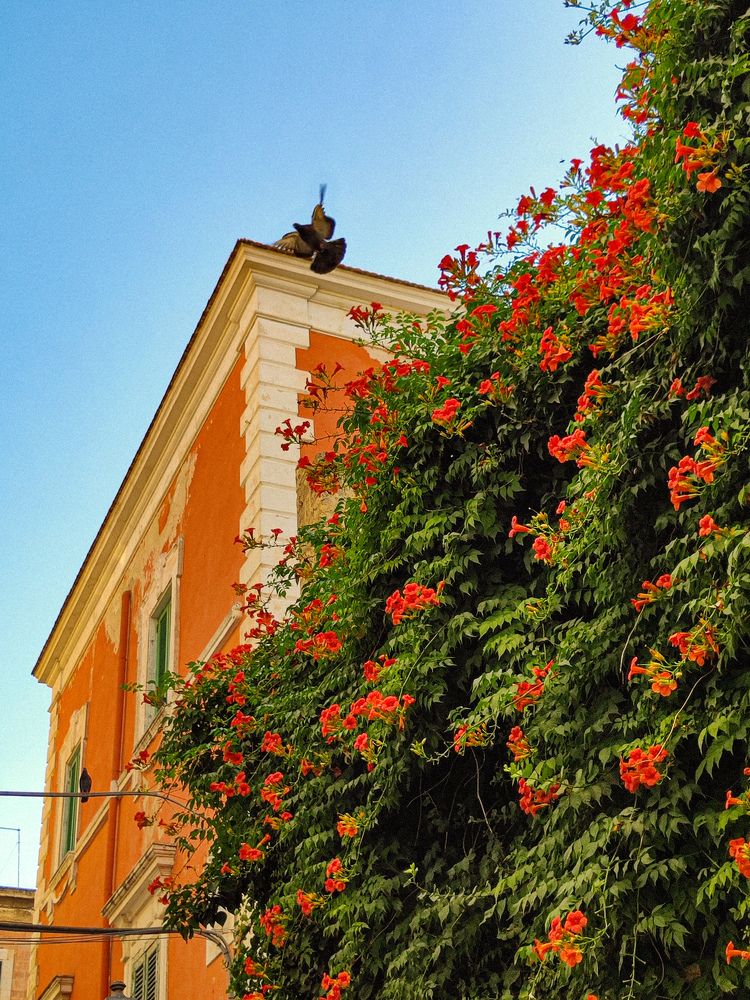 Photograph by Екатерина