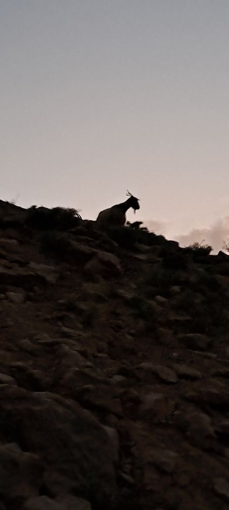 Photograph by mahboube moradalizade