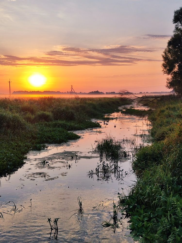 Photograph by Екатерина