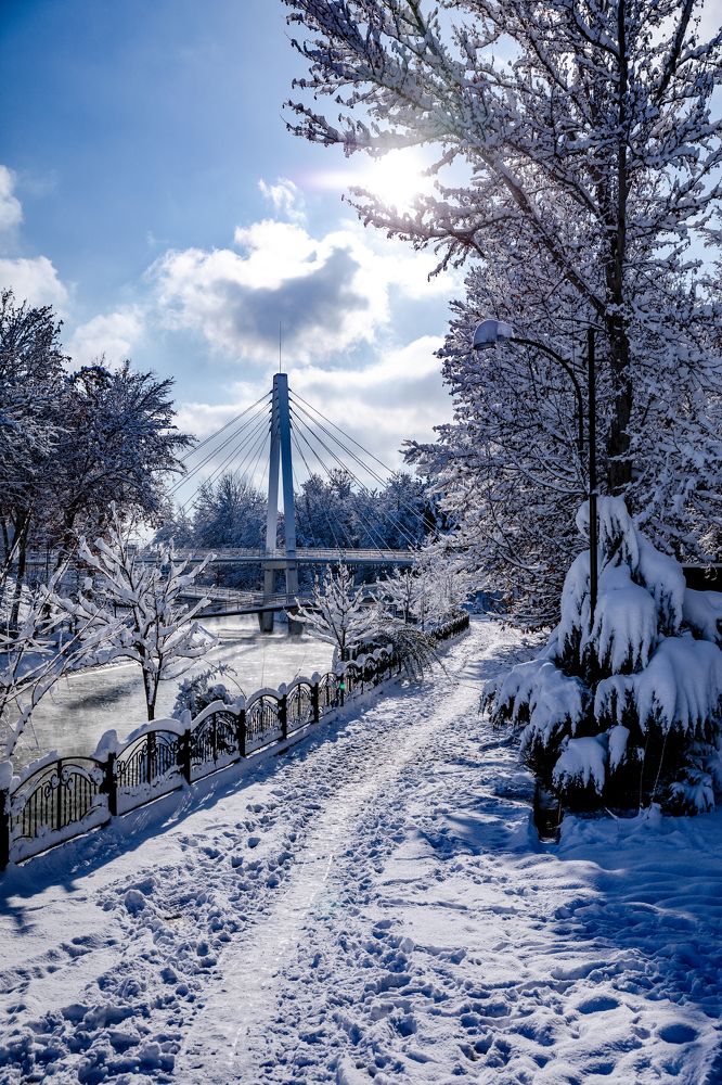 Photograph by Алишер Холматов