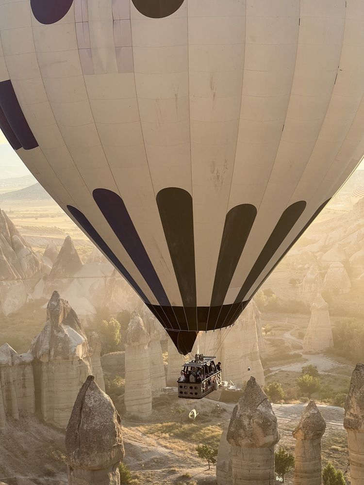 Photograph by Евгения Мягкова