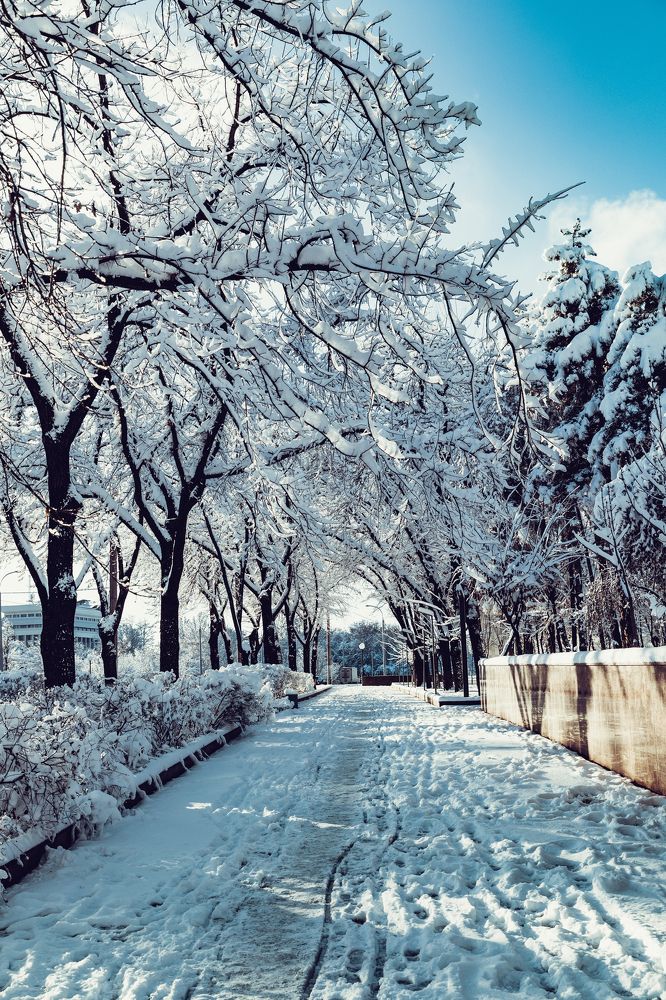 Photograph by Алишер Холматов