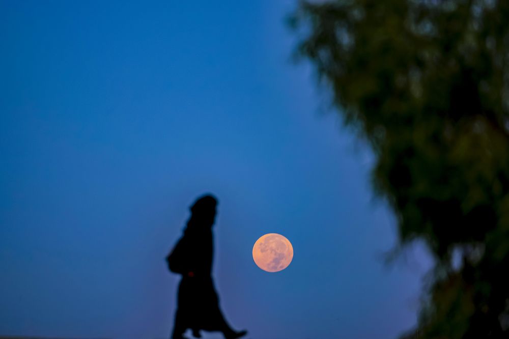 Photograph by Samer Husseini