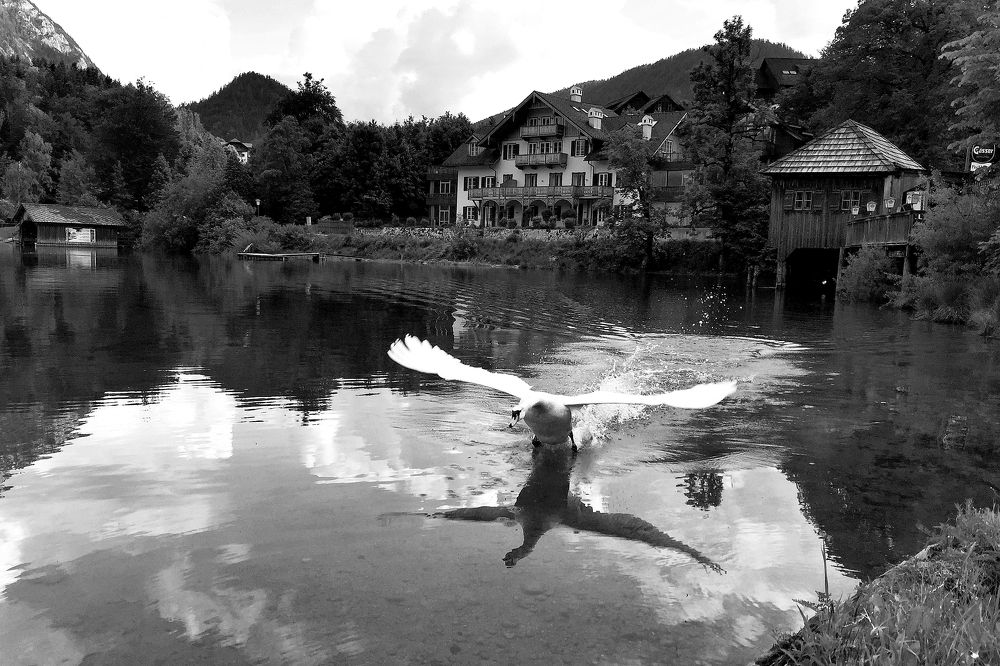 Фотография автора Кирилл Рожнов