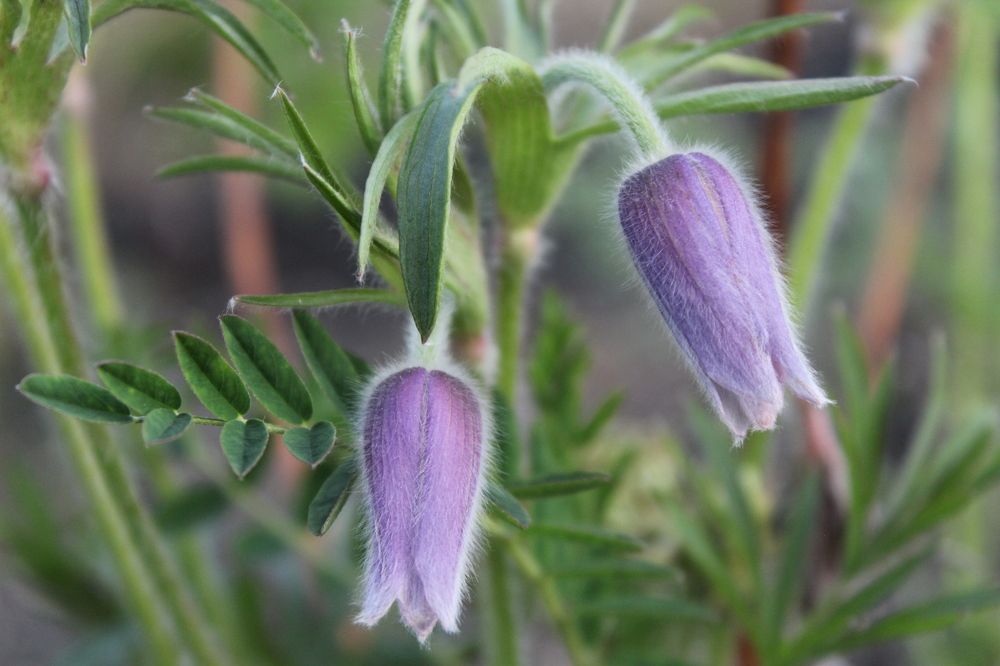 Photograph by Михаил Мархинин