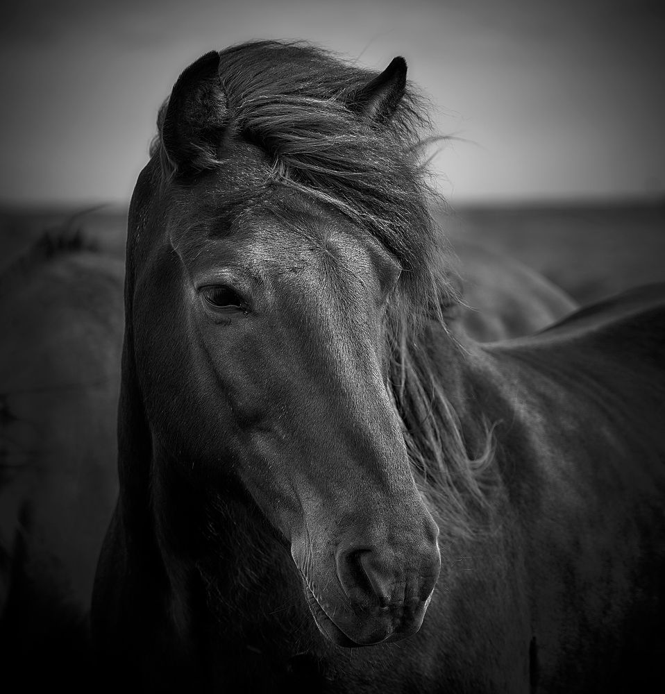 Photograph by Boris Bekelman