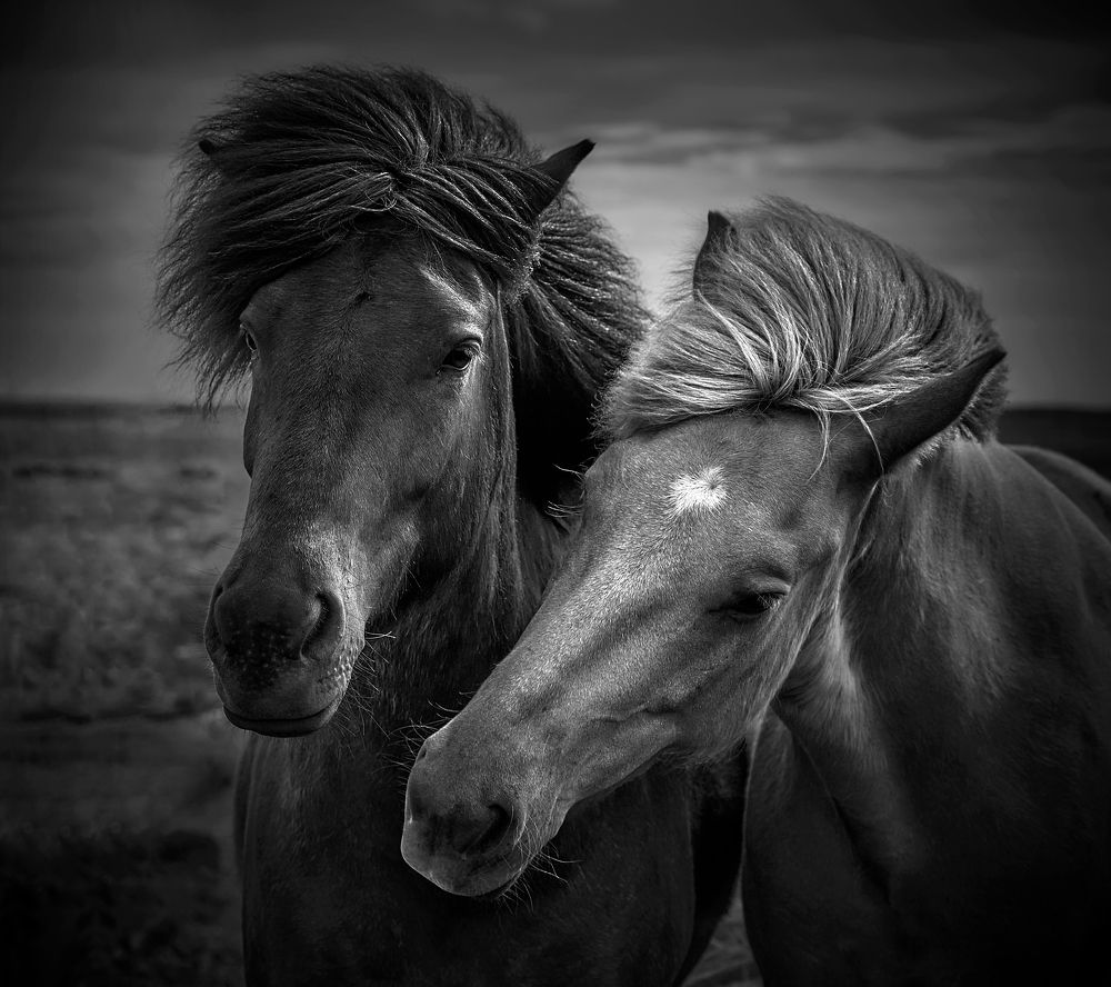 Photograph by Boris Bekelman