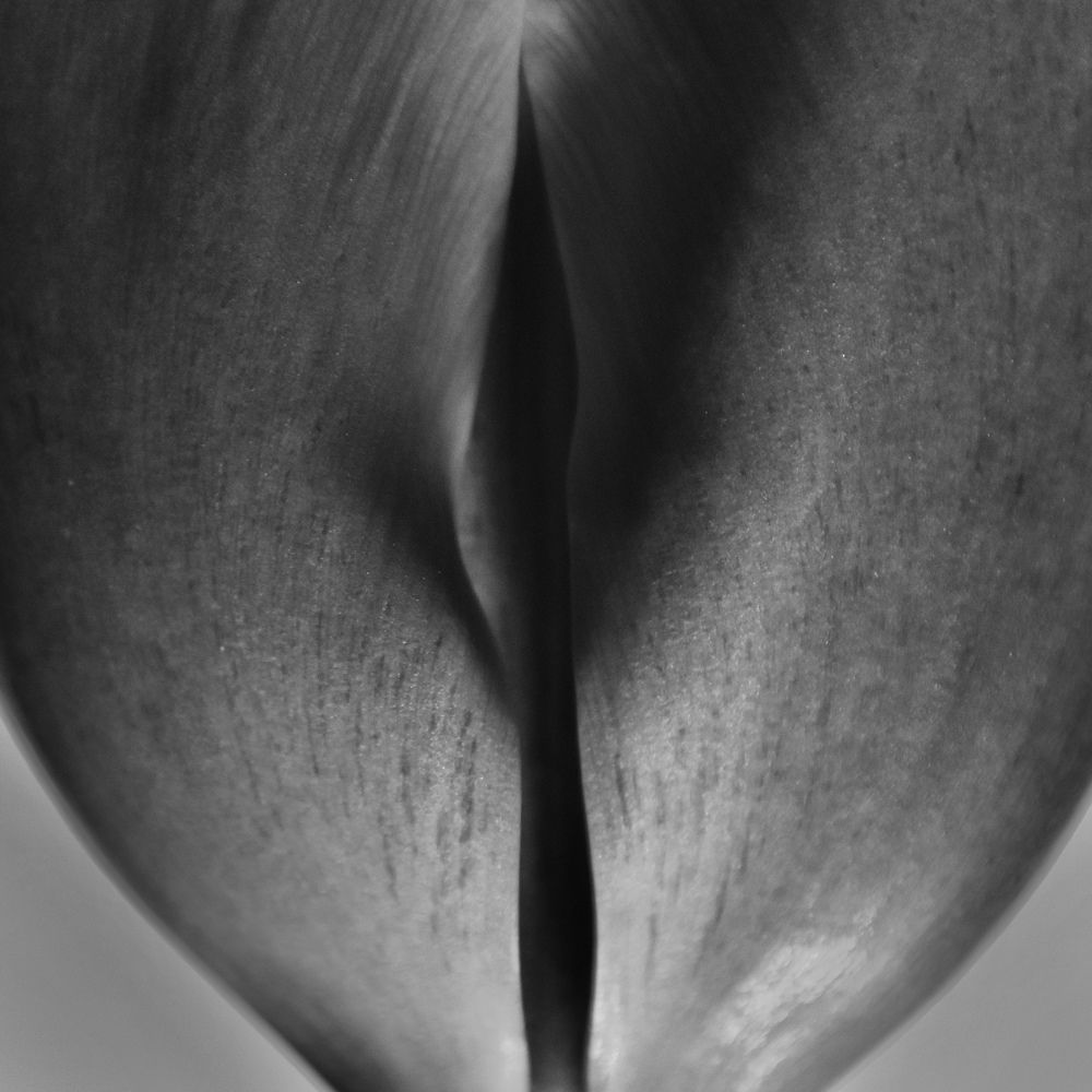Photograph by Александра Сумарокова