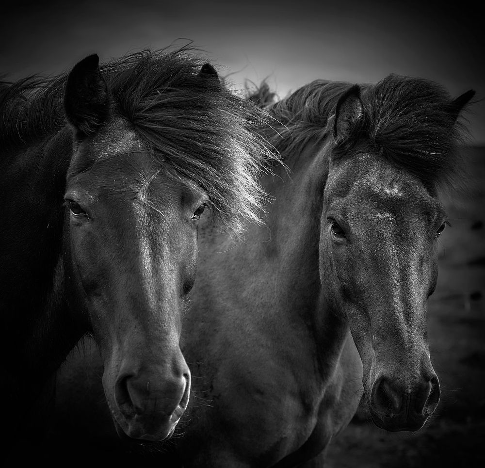 Photograph by Boris Bekelman