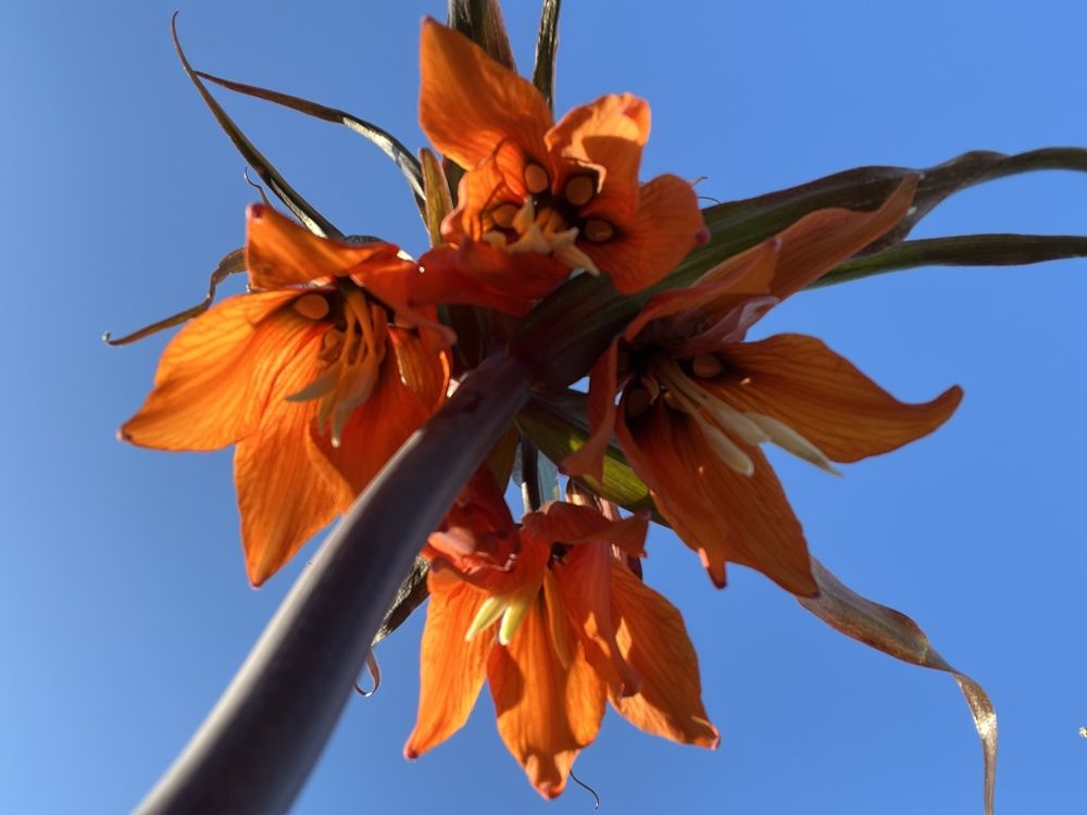 Photograph by Кира