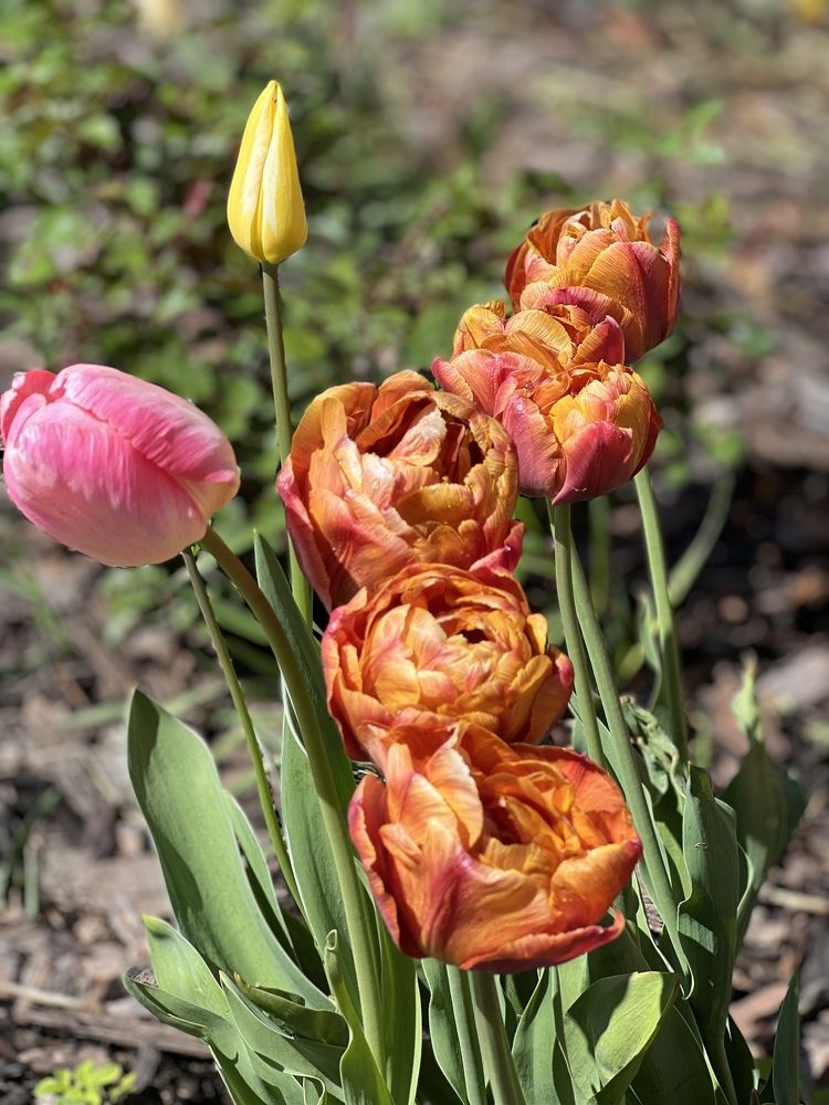 Photograph by Кира